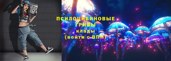 тгк Армянск