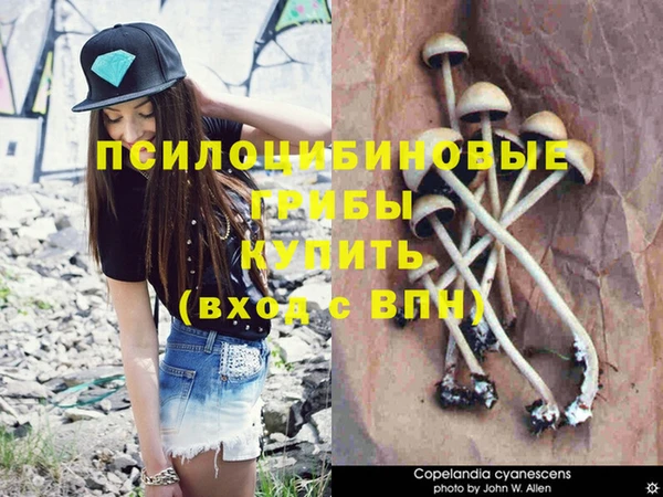 крисы Балахна