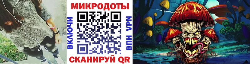 Псилоцибиновые грибы Psilocybe Сортавала