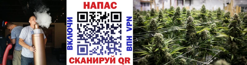 Канабис Bruce Banner  Сортавала 